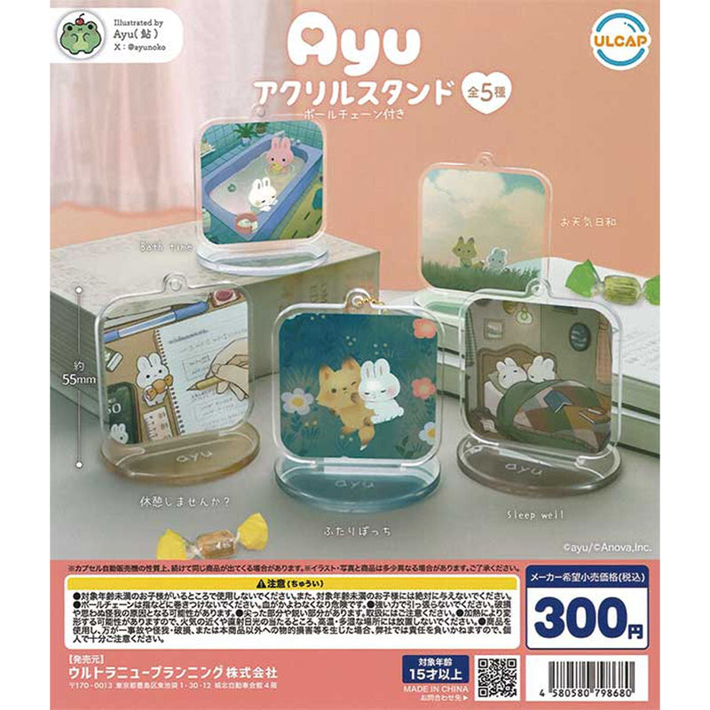 Ayu Acrylic Stand - 40pc assort pack