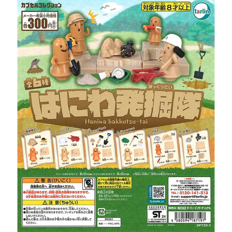 Haniwa Excavation Survey - 40pc assort