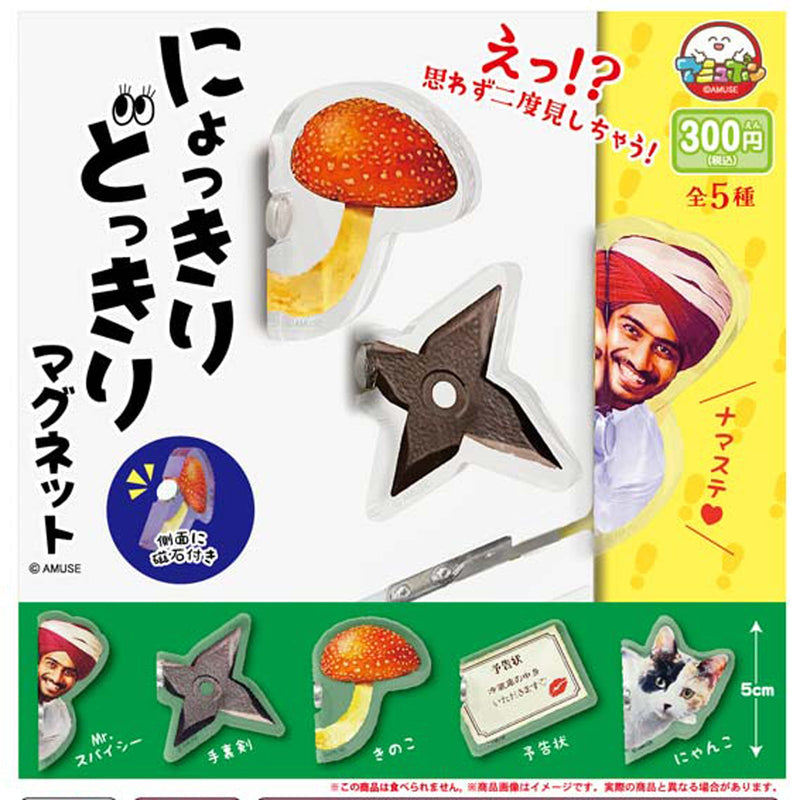 Nyokkiri Dokkiri Magnet - 30pc assort pack