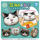[50% OFF] High Pressure Cat Face Mascot - 30pc assort pack