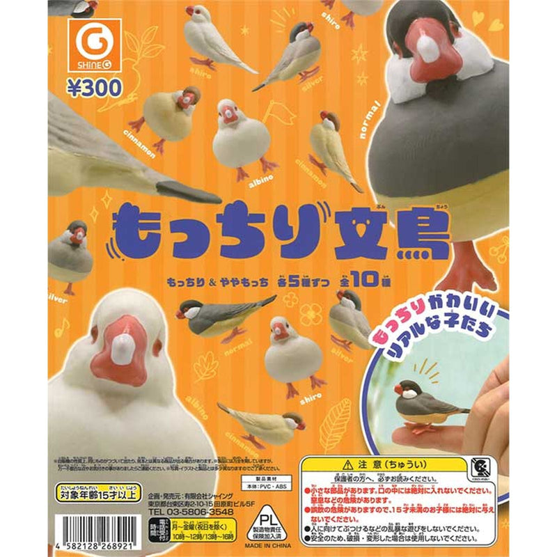 Mocchiri Buncho - 40pc assort pack