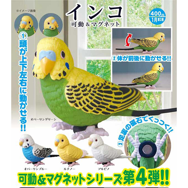 Parrots Action & Magnet - 30pc assort pack [Pre Order February 2025][2nd Chance]