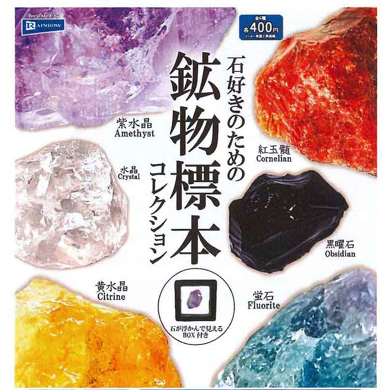 Mineral Display Book Collection - 30pc assort pack [Pre Order February 2025][2nd Chance]