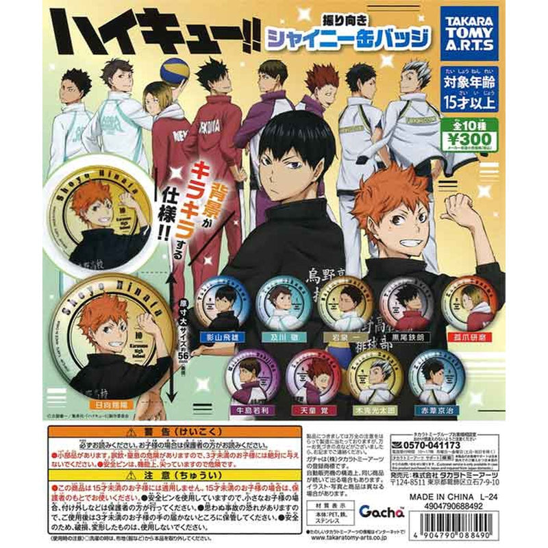 Haikyu!! Look Back Shiny Pin Badge - 40pc assort pack