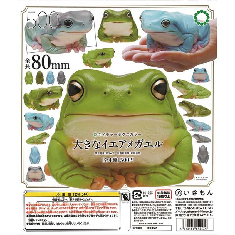 NTC Big Australian Green Tree Frog - 20pc assort pack