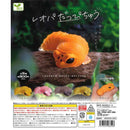 Leopard Duppy - 40pc assort pack