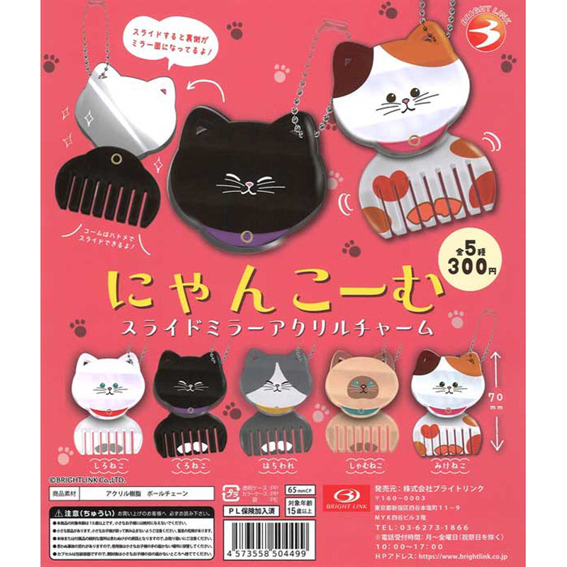 Cat Comb Slide Mirror Acrylic Charm - 30pc assort pack
