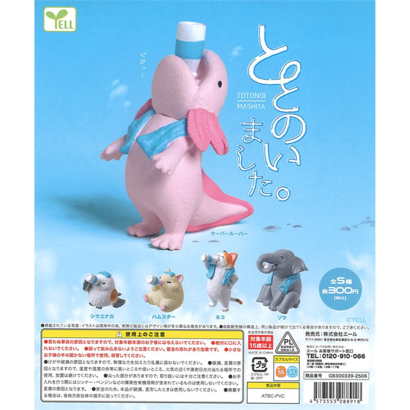 Totonoimashita - 40pc assort pack