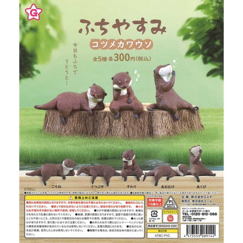 Fuchi Yasumi Asian Small Clawed Otter - 40pc assort pack