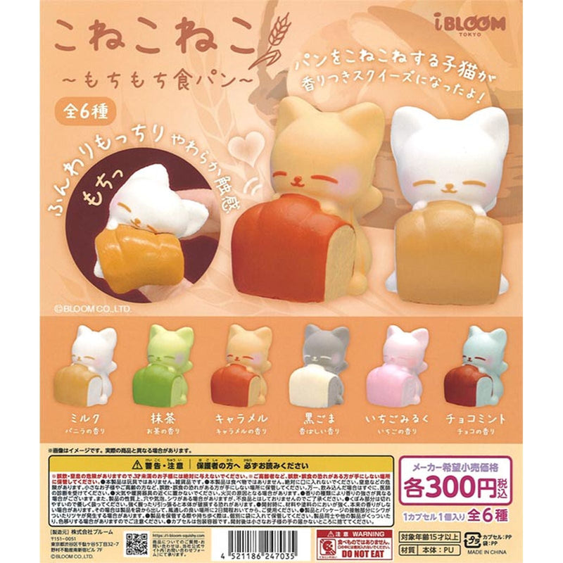 New Arrival [JUNE 2025]