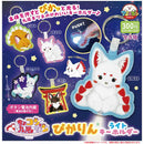 Chokonto Nine Tail Fox Pikarin Light Keychain - 40pc assort pack