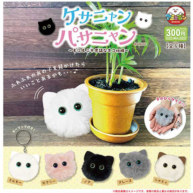 Kesanyan Pasankyan Keychain - 40pc assort pack [Pre Order August 2025][2nd Chance]