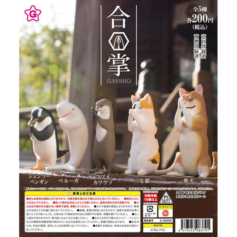 GASSHO - 50pc assort pack [Pre Order August 2025][2nd Chance]