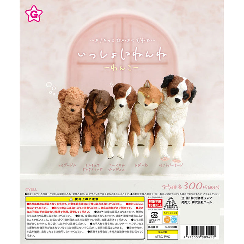 Dog Sleeping Together - 40pc assort pack [Pre Order August 2025][2nd Chance]
