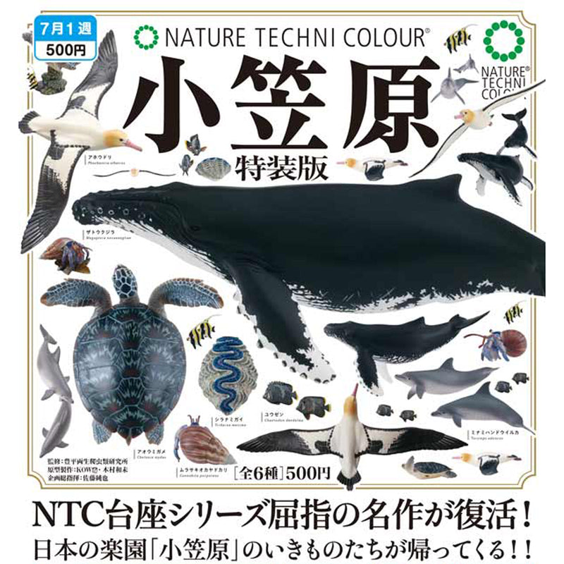 NTC Ogasawara Special - 20pc assort pack [Pre Order August 2025][2nd Chance]