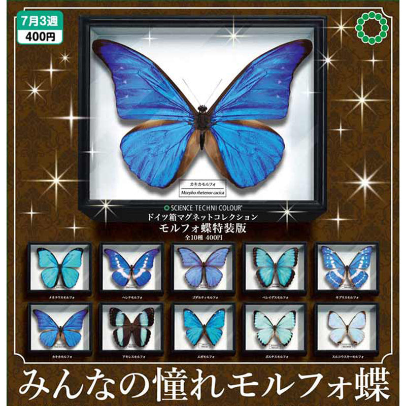 STC German Box magnet Collection Butterfly - 30pc assort pack [Pre Order August 2025][2nd Chance]