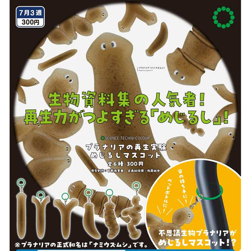 STC Planarian Regeneration Experiment Eyecatch Mascot - 40pc assort pack [Pre Order August 2025][2nd Chance]