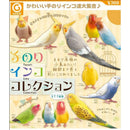 [20% OFF] Parrot on the Palm Collection - 40pc assort pack