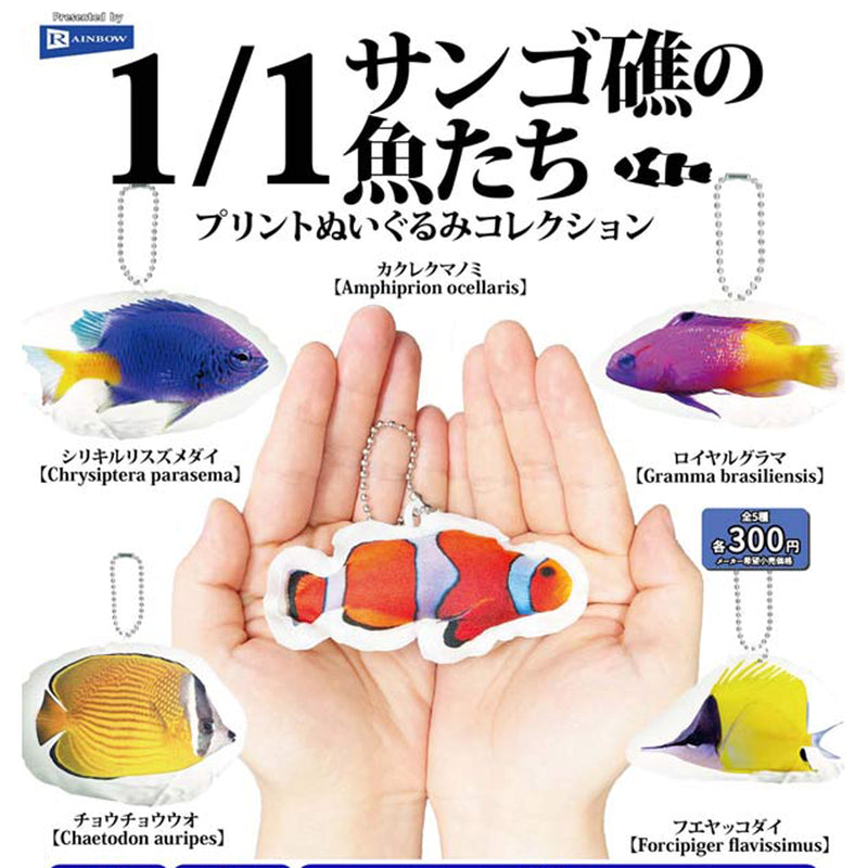 Coral Reef Fish Print Stuffed Toy Collection - 40pc assort pack [Pre Order August 2025][2nd Chance]