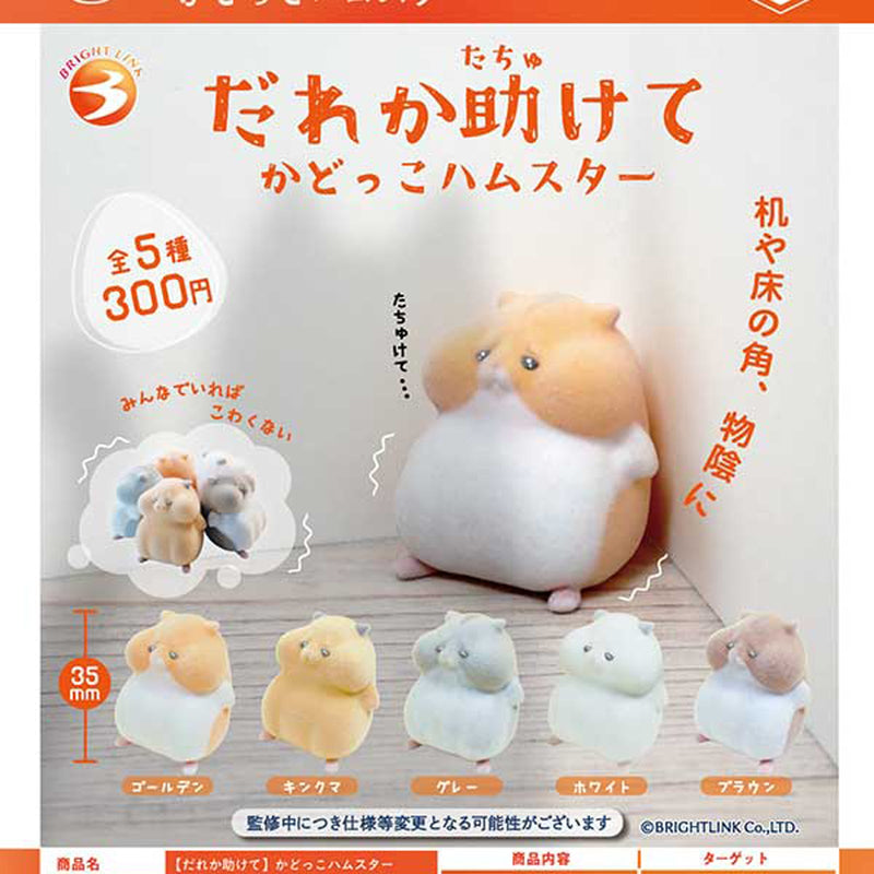 Help! Kadokko Hamster - 40pc assort pack [Pre Order August 2025][2nd Chance]
