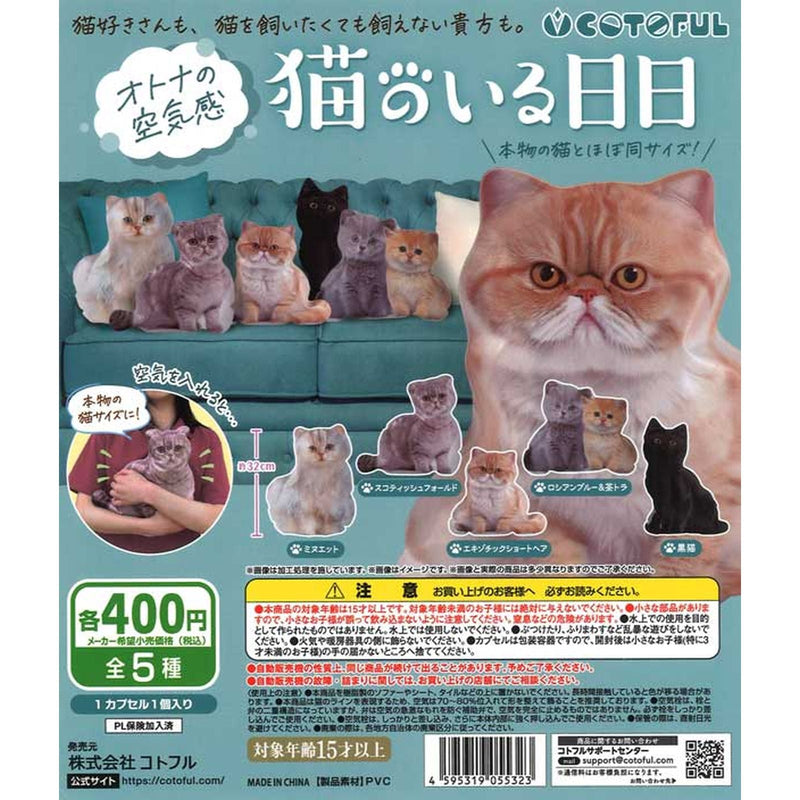 Adulty Atmosphere Days with Cat - 30pc assort pack