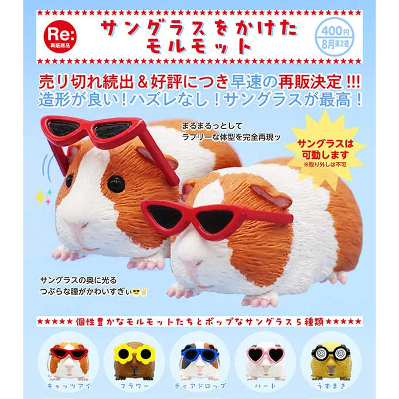 Guinea Pig with Sunglass - 30pc assort pack [Pre Order September 2025][2nd Chance]