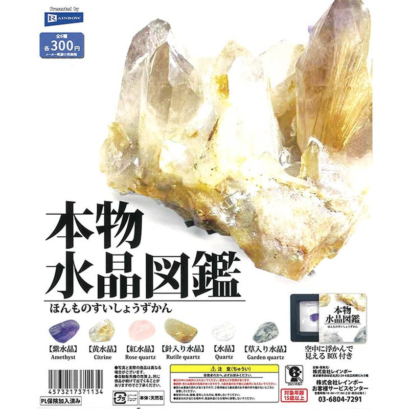 Realistic Crystal Dictionary - 40pc assort pack