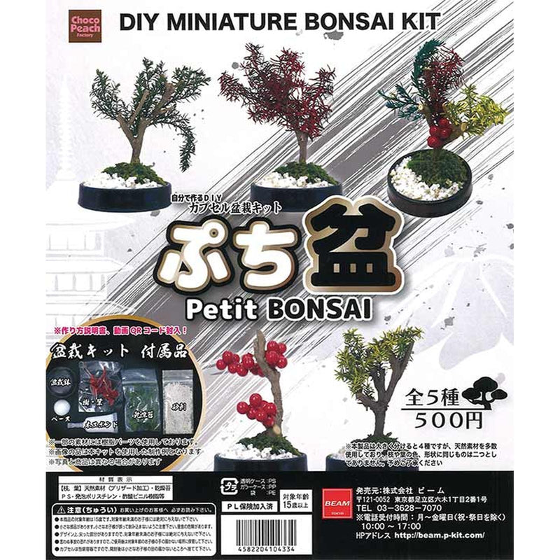 Pettit Bon Capsule DIY Series - 30pc assort pack