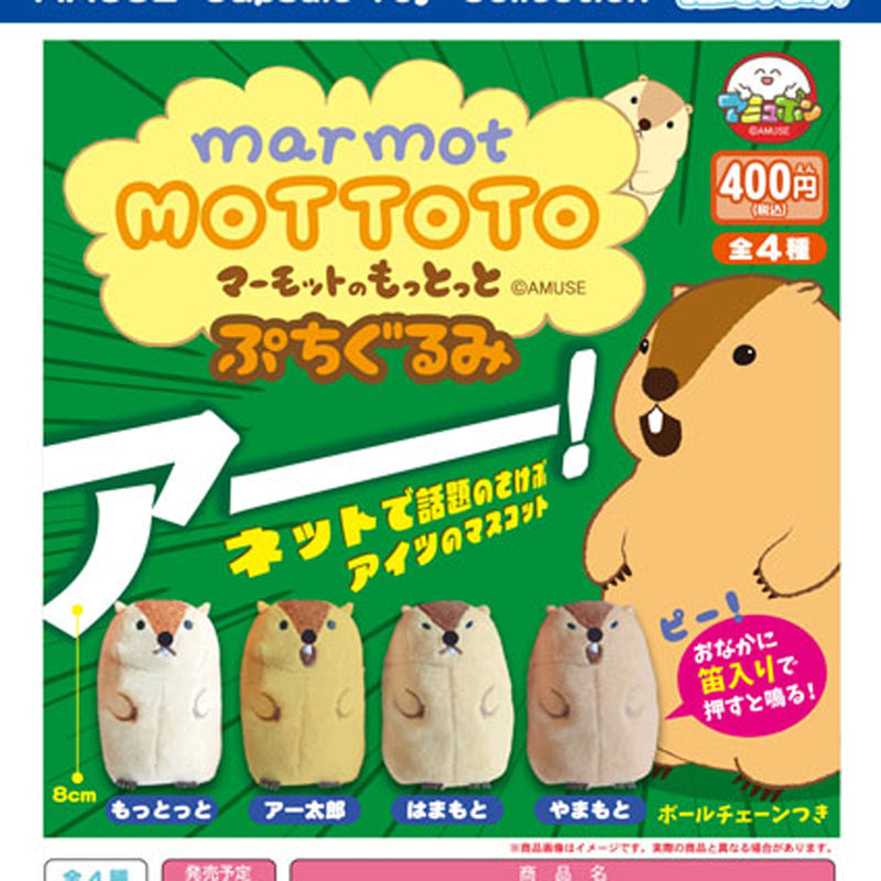 Marmot Mototto  Pettit Stuffed Toy - 30pc assort pack [Pre Order October 2025][2nd Chance]