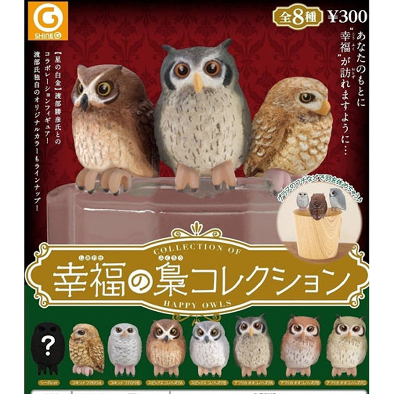 Locky Owl Collection - 40pc assort pack [Pre Order October 2025][2nd Chance]