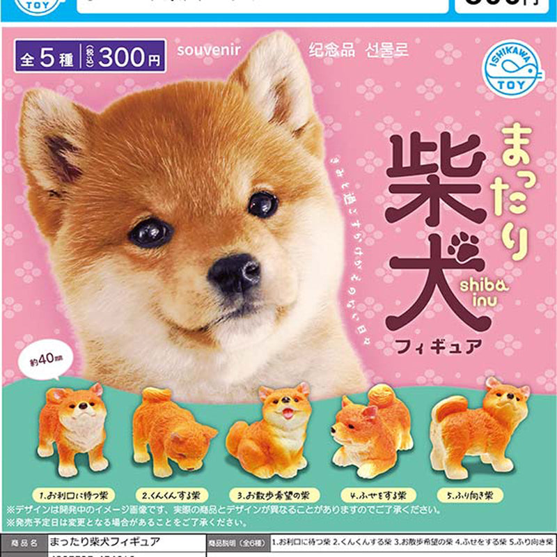 Mattari Shiba-inu Figure - 40pc assort pack [Pre Order October 2025][2nd Chance]
