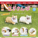 Corgi Walking - 40pc assort pack