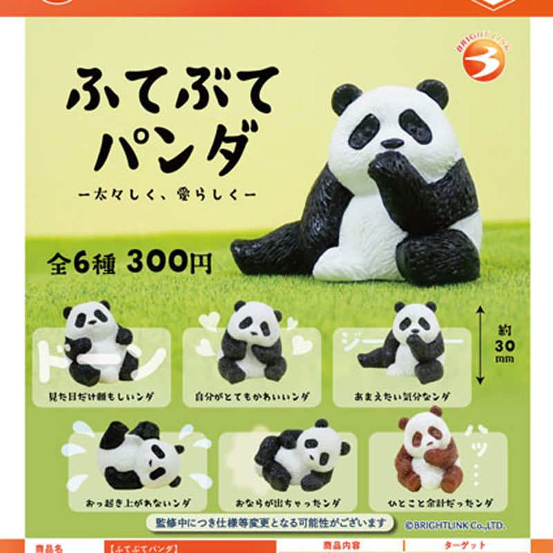 Fute Bute Panda - 40pc assort pack [Pre Order October 2025][2nd Chance]