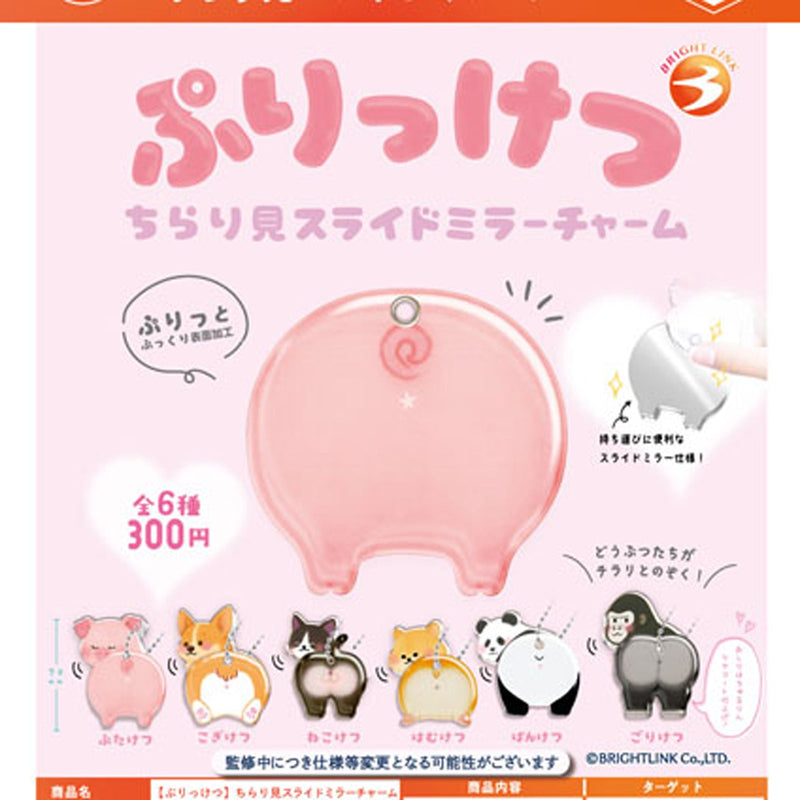Puriketsu Slide Mirror Charm - 40pc assort pack [Pre Order October 2025][2nd Chance]
