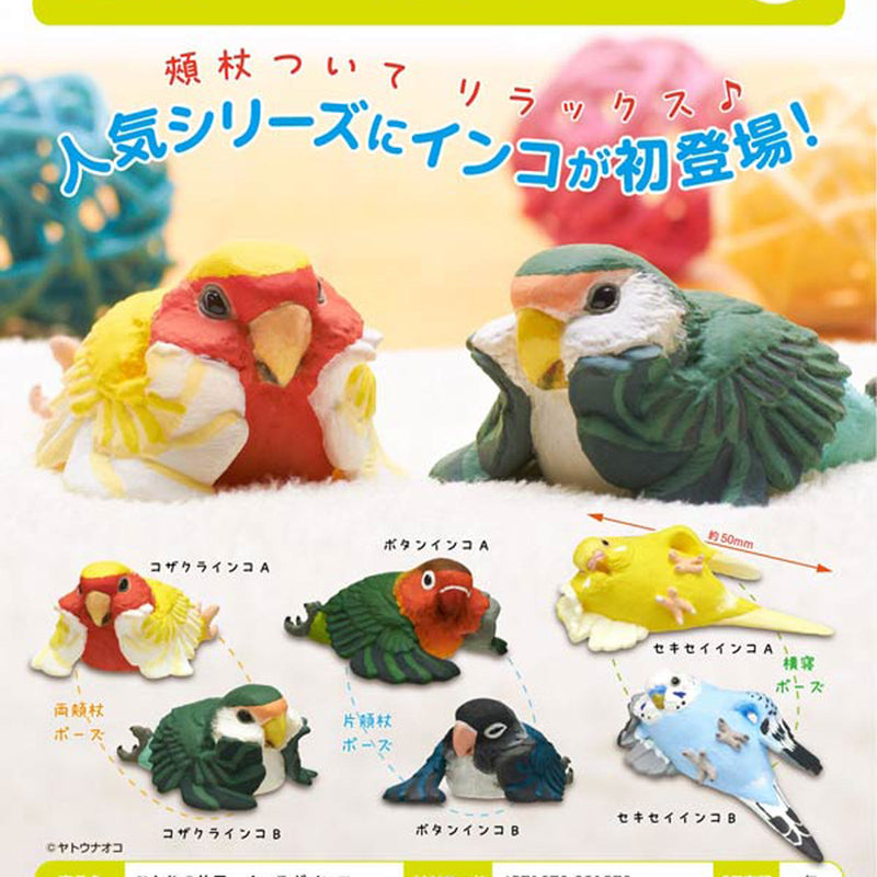 Bird's Day Off Relaxing Parrot - 30pc assort pack [Pre Order October 2025][2nd Chance]