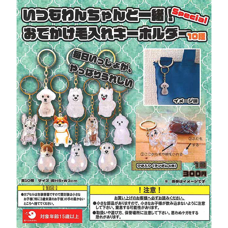 Always Together with Dogs! Carry Along Hair Case Keychain Special - 40pc assort pack