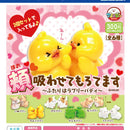 Cheek Sucking - 40pc assort pack [Pre Order November 2025][2nd Chance]