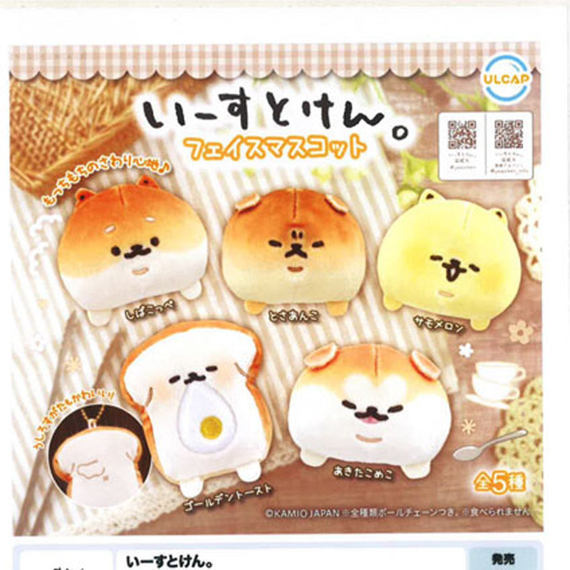 Yeast Dog Face Mascot - 30pc assort pack [Pre Order November 2025][2nd Chance]