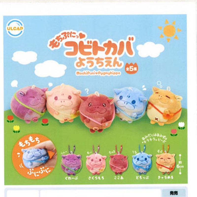 Mochi Puni Kobito Kaba Kindergarten - 30pc assort pack [Pre Order November 2025][2nd Chance]