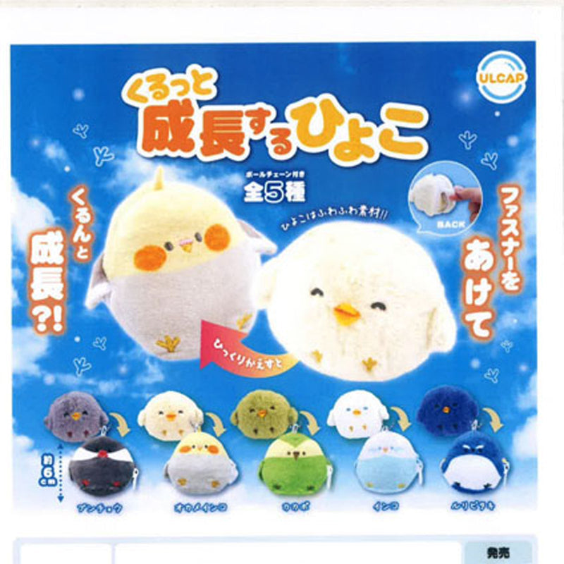 Kurutto Growing Chick - 20pc assort pack [Pre Order November 2025][2nd Chance]