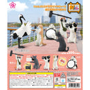 Cat Channel - 40pc assort pack [Pre Order November 2025][2nd Chance]