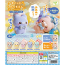 Sukutto Tacchisan Suya Suya Kumasan Tacchi - 30pc assort pack [Pre Order November 2025][2nd Chance]