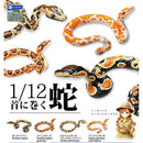 Snake Neck Wrap 1/12 - 20pc assort pack [Pre Order November 2025][2nd Chance]