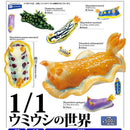 Sea Slug World 1/1 - 20pc assort pack [Pre Order November 2025][2nd Chance]