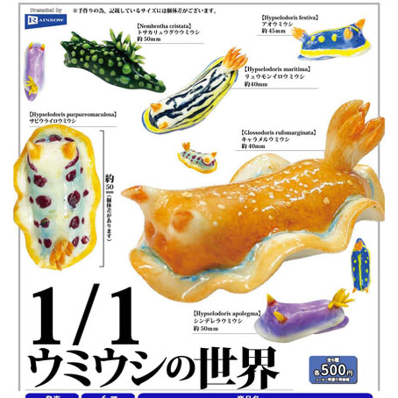 Sea Slug World 1/1 - 20pc assort pack [Pre Order November 2025][2nd Chance]