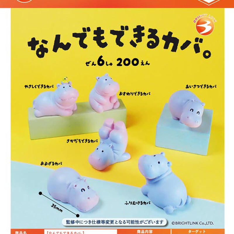 Hippo Can Do Anything - 50pc assort pack [Pre Order November 2025][2nd Chance]