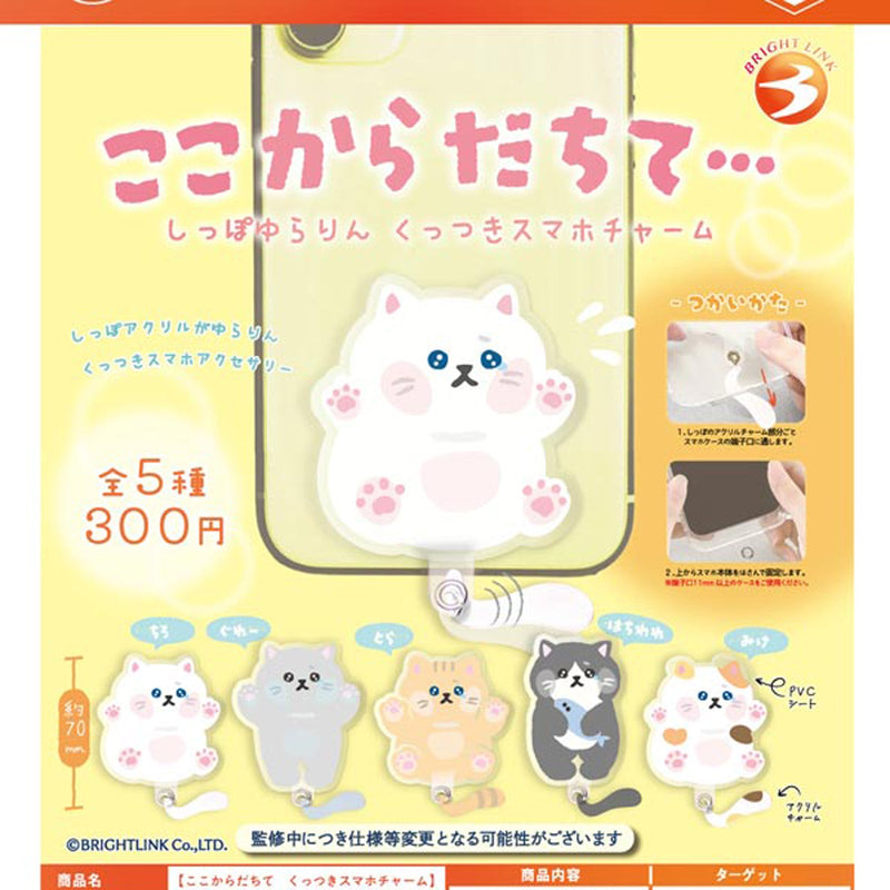 Let Me Out of Here Tail Waving Link Smartphone Charm - 40pc assort pack
