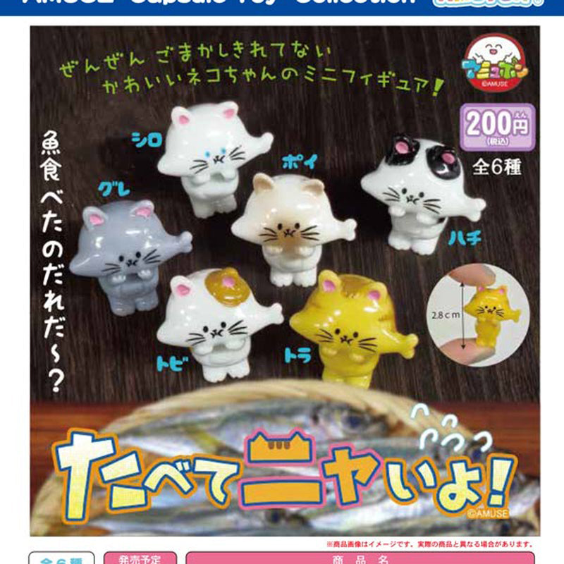 OK to Eat Cat - 50pc assort pack