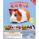 Mormot with Sunglasses - 30pc assort pack [Pre Order December 2025][2nd Chance]