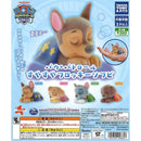 Paw Patrol Suya Suya Flocky Sofubi - 40pc assort pack